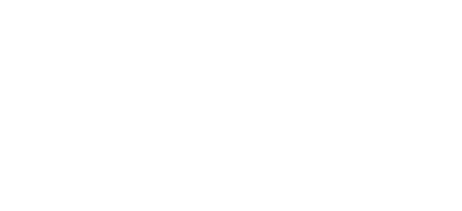 Physics X